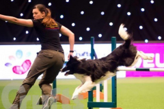 Jenny and Guv - Winners of the British Open 2016