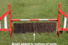 Brush Fence