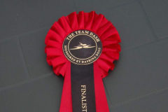 Team Dash Finalist Rosette - August 2010