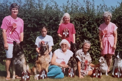 Club Team - won a mixed breed competition at the Festival of Working Dogs, Ardingley