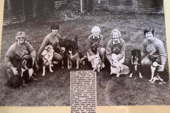 Good Citizens Demo at Crufts, 1993, Wallingford Herald