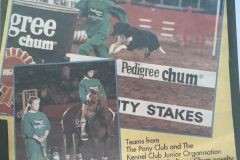 Simon Tappin - Pedigree Chum Novelty Relay,  Royal International  Horse Show at the NEC, 1991