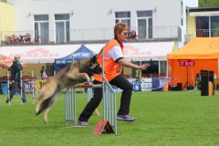 Sue and Mischief with Team GB at FMBB Czechia 2015