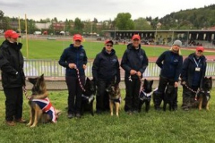 Sue and Mischief with Team GB at FMBB Czechia 2019