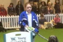 Gio-Gio and Tatti -  3rd in Crufts Junior 2014