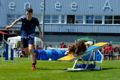 Rory and Mr Red - European Open Junior Champs 2019