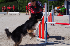 Rory and Sonic - European Open Junior Champs 2017