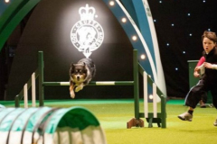 Rory and Ammo - ADOY Final 2013