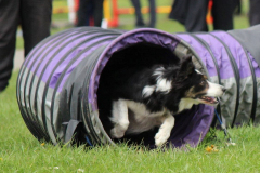 Pip - Tunnel