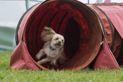 Pixel - Tunnel
