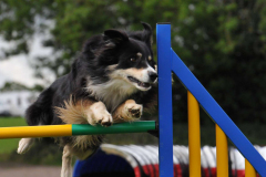 Sonic - Jumping