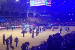 Jenny and Guv - Olympia 2015 - 3rd
