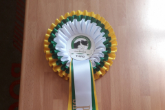 Jo and Pixel - 3rd in Rescue League 2019