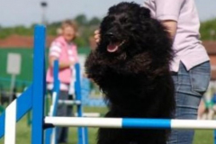 Alison and Alf - Finals 2012
