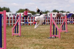 Jo and Bella - Rescue League Finals 2015