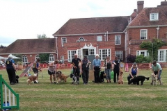 Group Photo Mayhem!