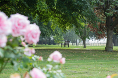 Rush Court Grounds