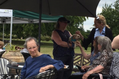 Pixel Meeting the Residents