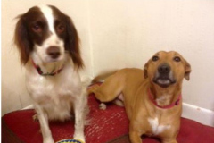Lexi and Daisy